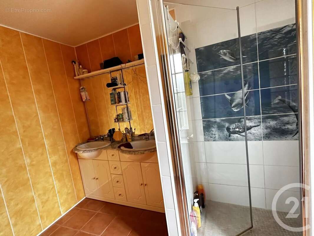 Maison à ROMAZIERES