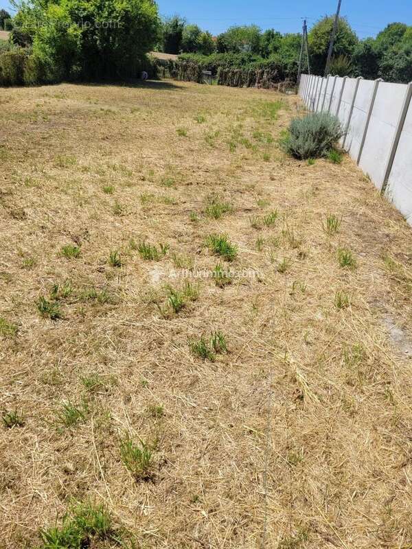 Terrain à SAINT-JEAN-D'ANGELY