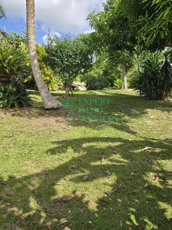 Maison à GRAND-BOURG
