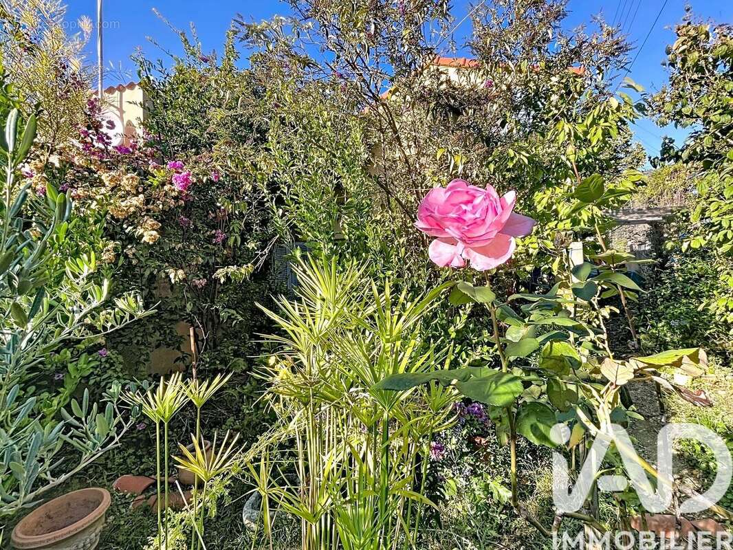 Photo 2 - Maison à MARSEILLE-11E