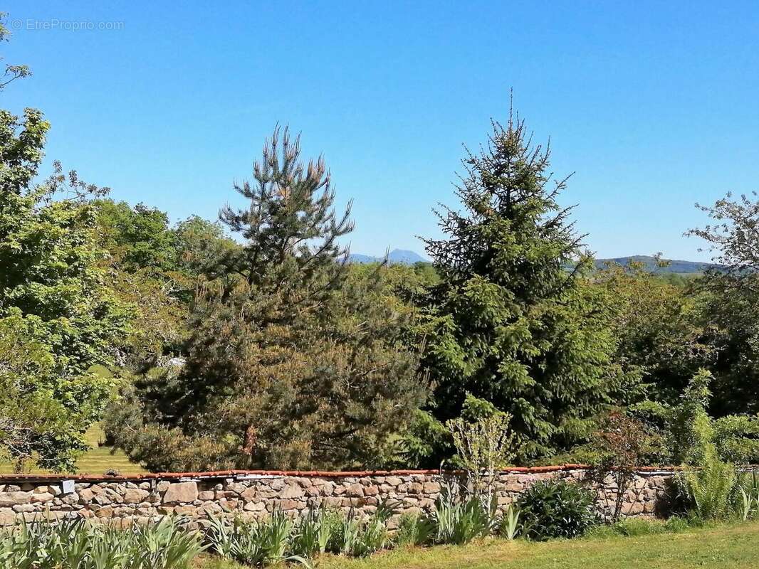 Photo 8 - Maison à MIREMONT