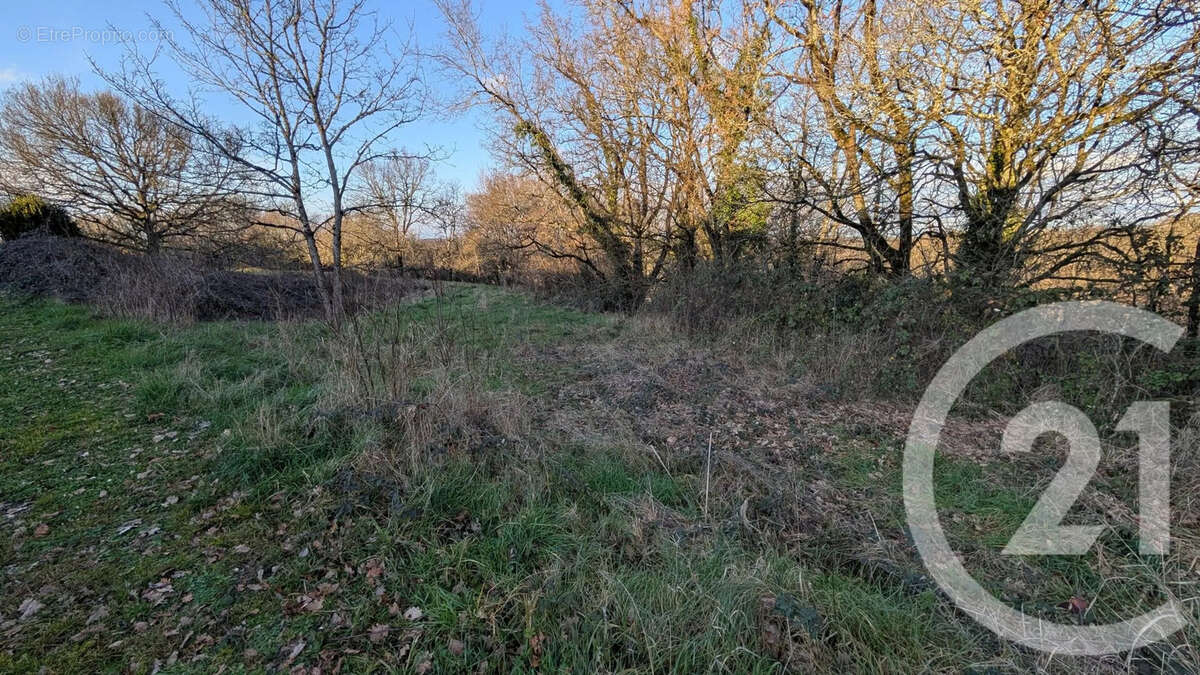 Terrain à BEAUVILLE