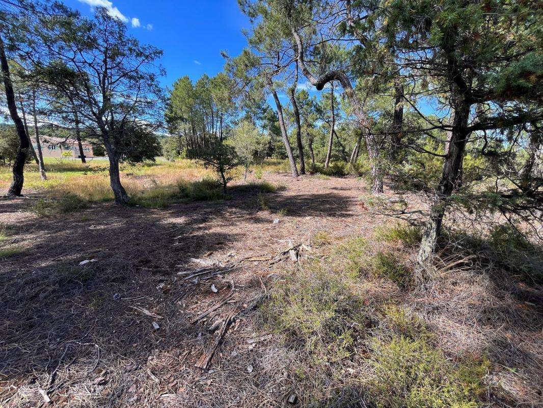 Terrain à LES ASSIONS