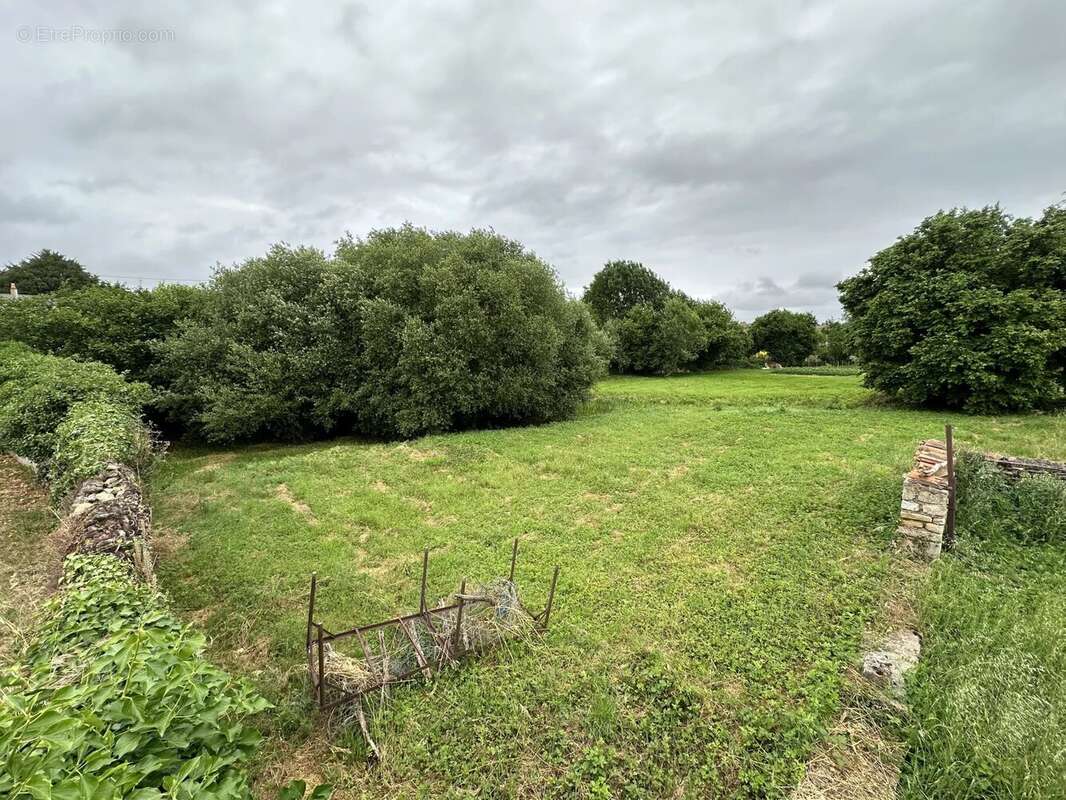 Terrain à SAINTE-VERGE