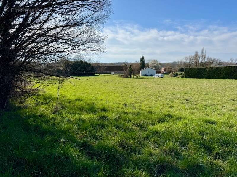 Terrain à SAVIGNAC-LES-EGLISES