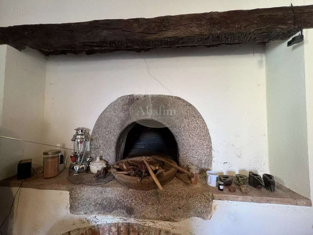 Domaine avec gîte 10ha - photo 30