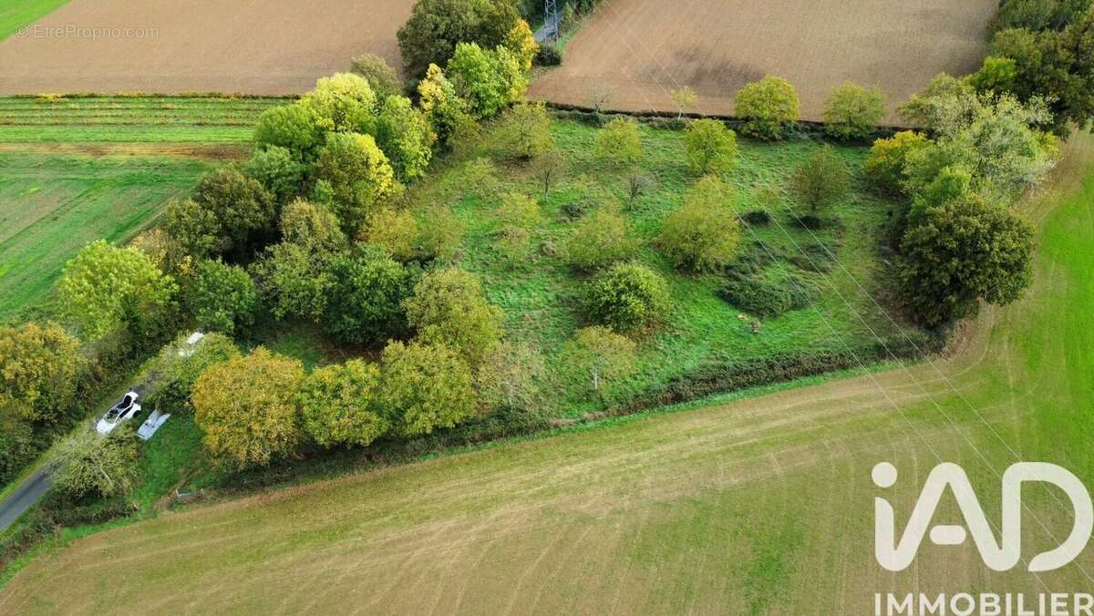Photo 8 - Terrain à SAINT-HILAIRE-DE-VOUST