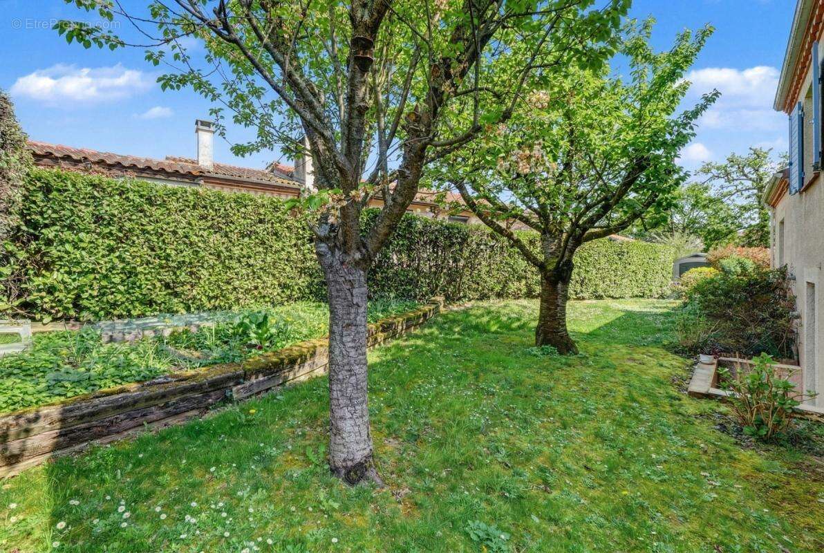 Maison à SAINT-JEAN