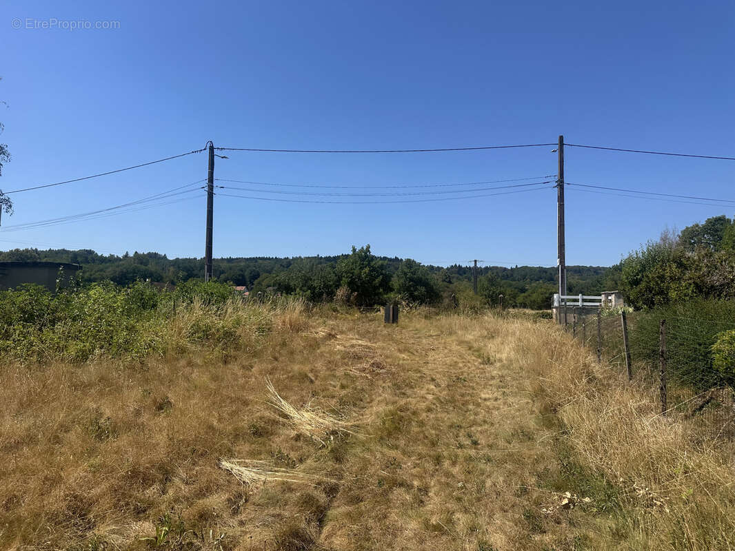 Vente, terrain de 1135 m2 dont 953 m2 constructibles, MELISEY - photo 7