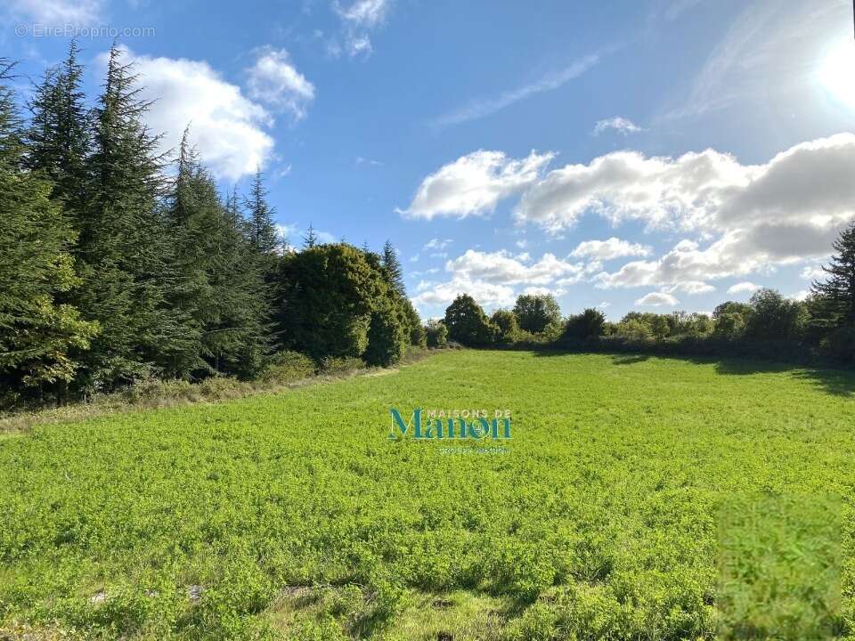 Terrain à PUISSERGUIER