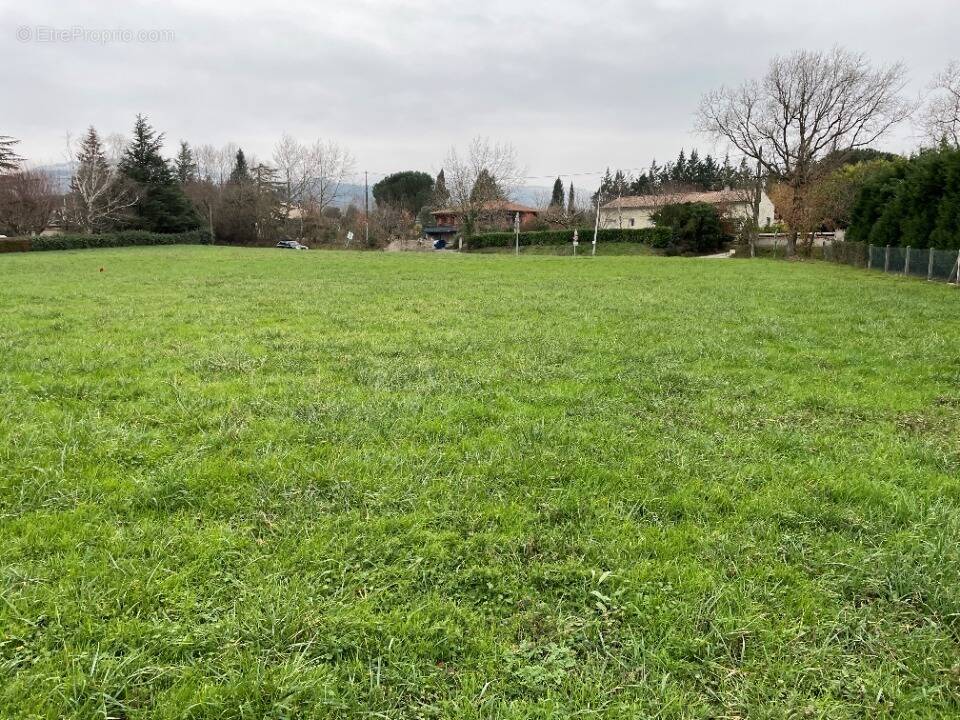 Terrain à LABRUGUIERE
