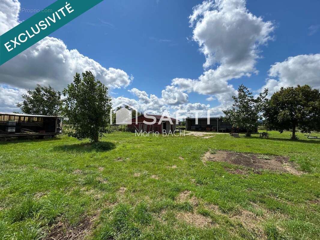 Photo 5 - Maison à SARRE-UNION