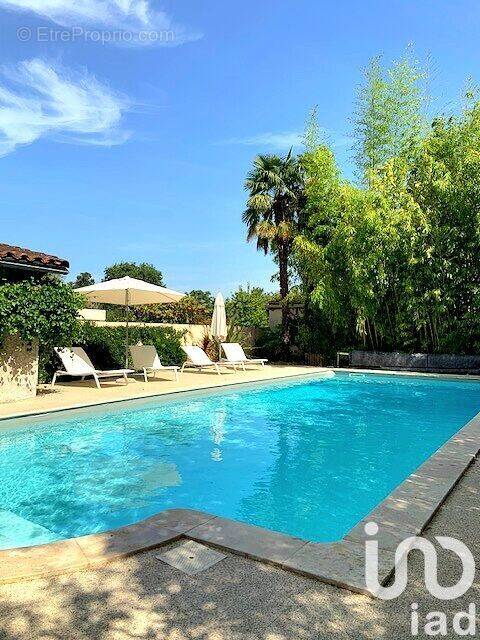 Photo 1 - Maison à ALBI