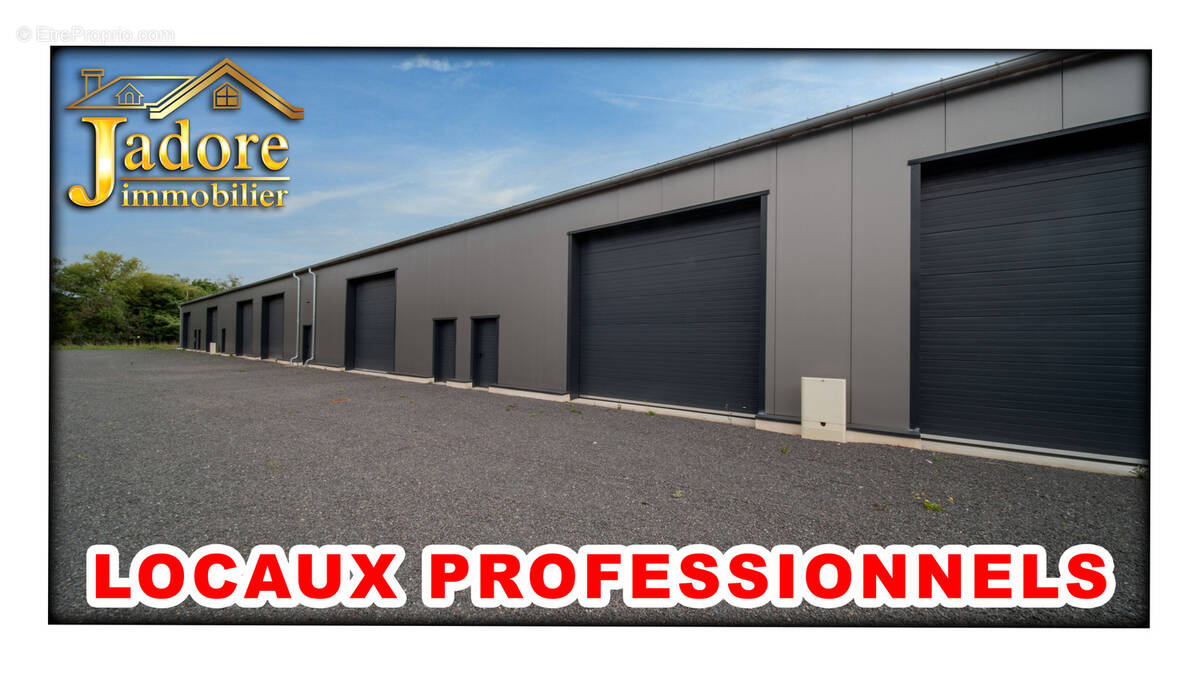 Autre à SAINT-DIE-DES-VOSGES