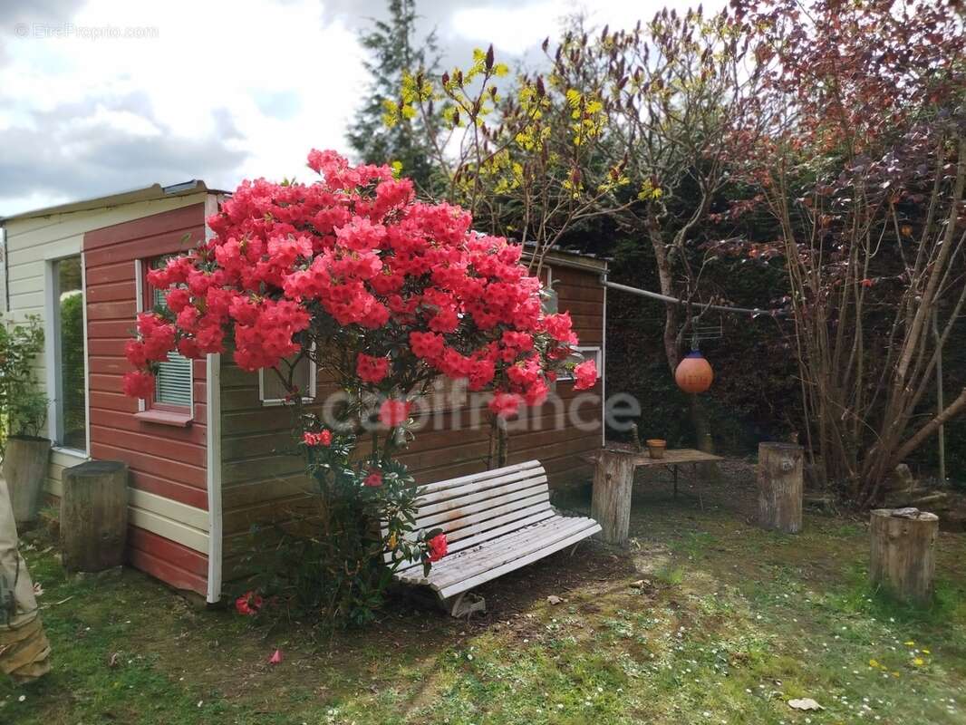 EXCLUSIVITE -PLEVIN- Maison convivial 176 m2 - Grand jardin arboré/paysager - dépendances proche de CARHAIX - photo 15
