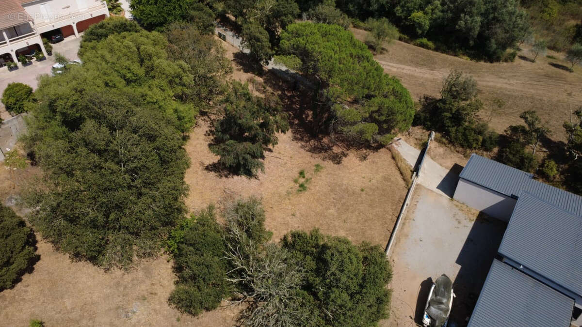 Exclusivité, Terrain viabilisé de 1 025 m² avec projet de maison à Alata, Castagnola - photo 3