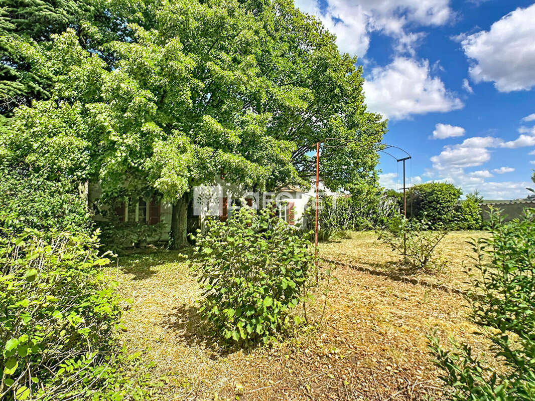 Tènement immobilier à QUINCIE - photo 5