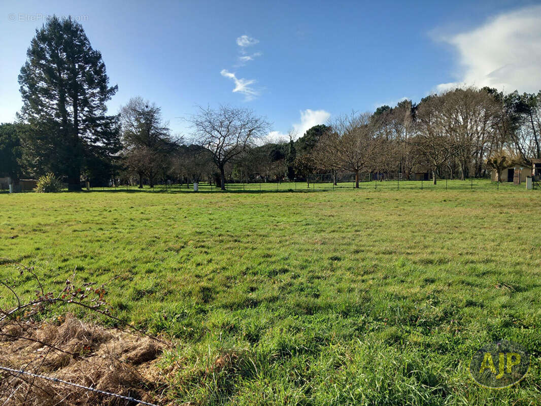 Terrain à QUEYRAC