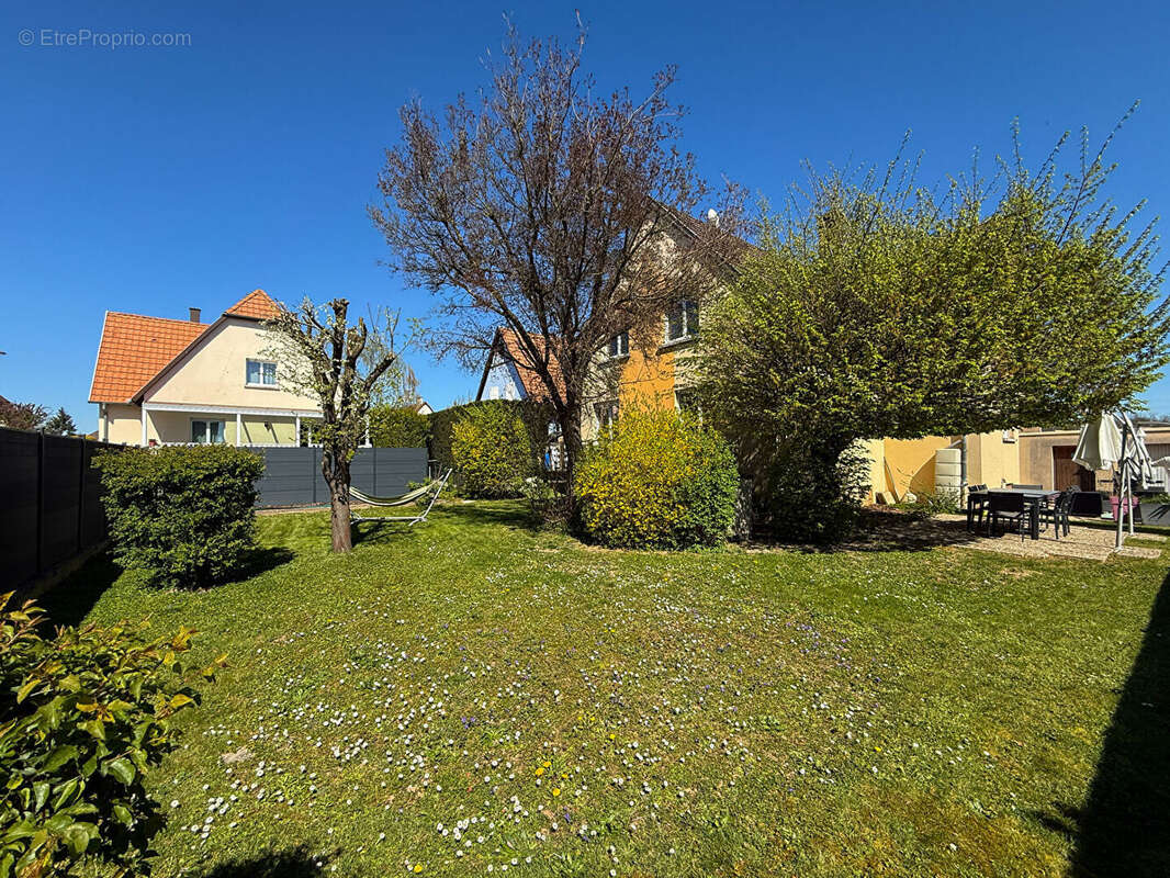 Maison à OBERSCHAEFFOLSHEIM