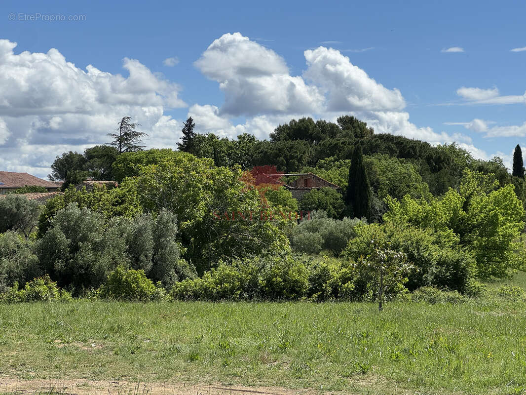 Terrain à MONTPEYROUX