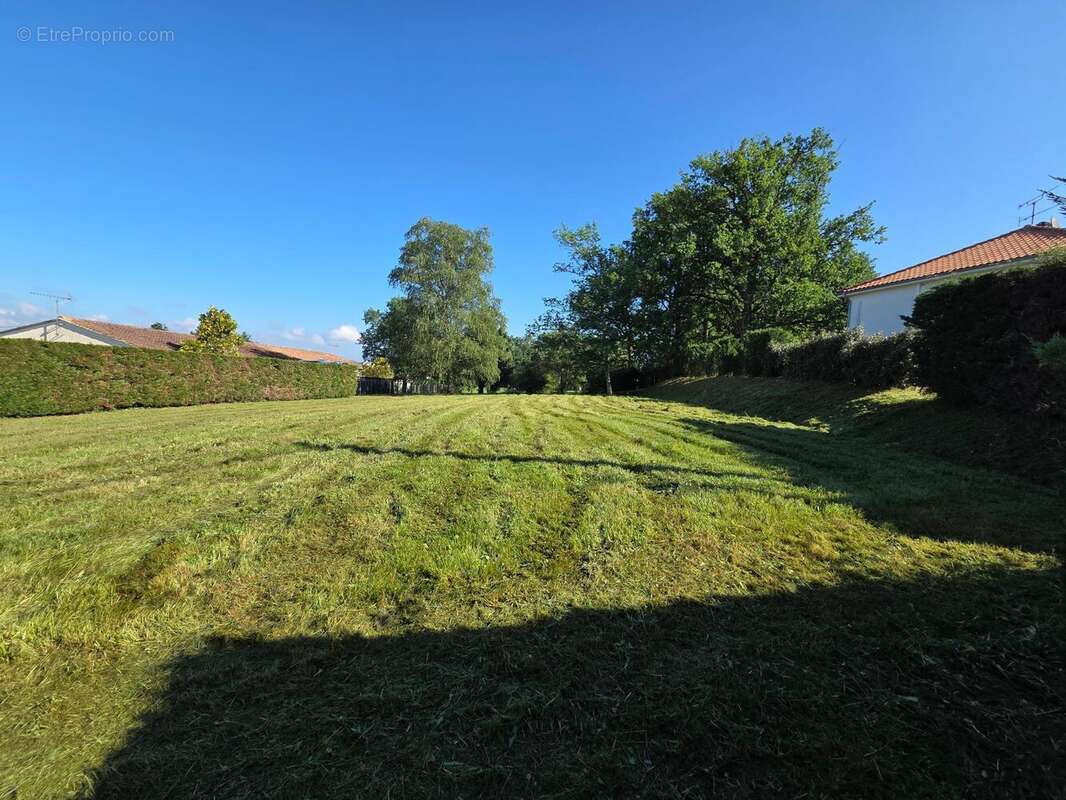 Photo 4 - Maison à MONTENDRE