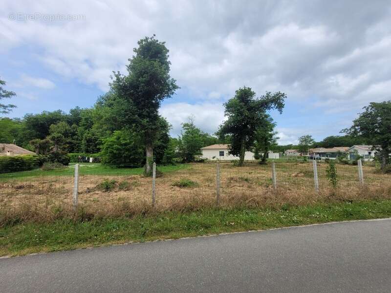 Terrain à CISSAC-MEDOC