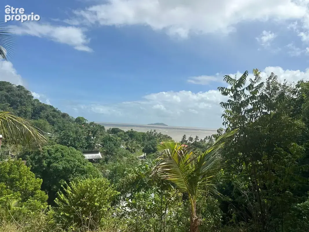 Terrain à CAYENNE