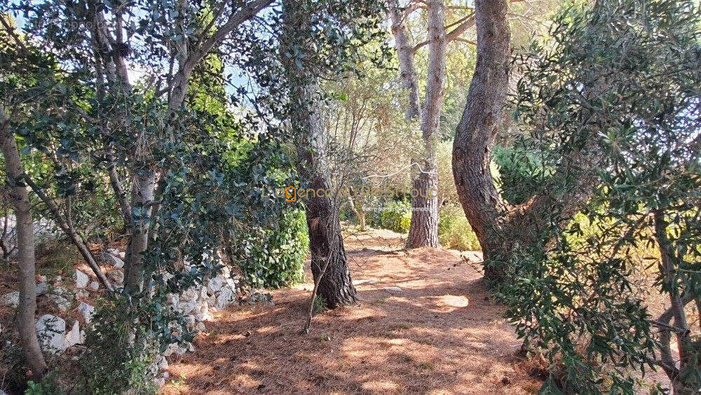 Maison à COMBAILLAUX