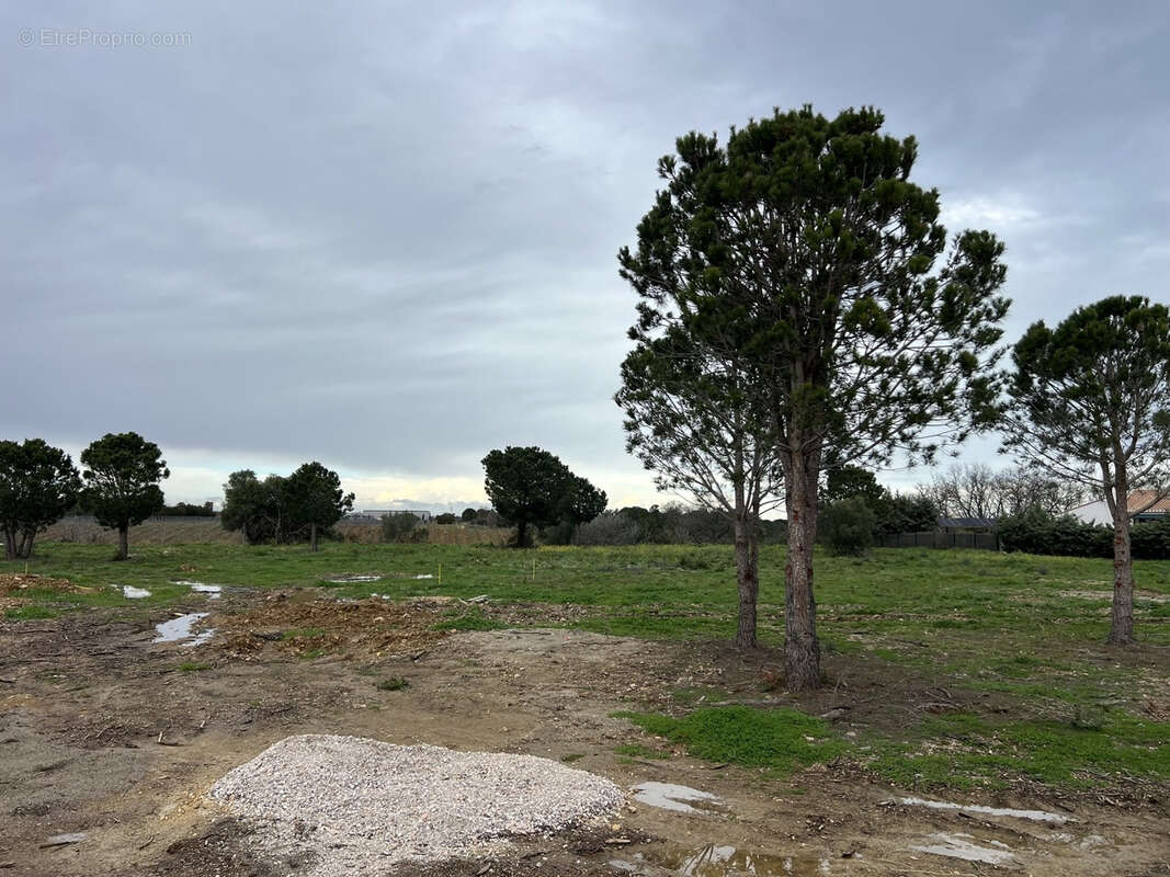 Terrain constructible au mas llaro - photo 5