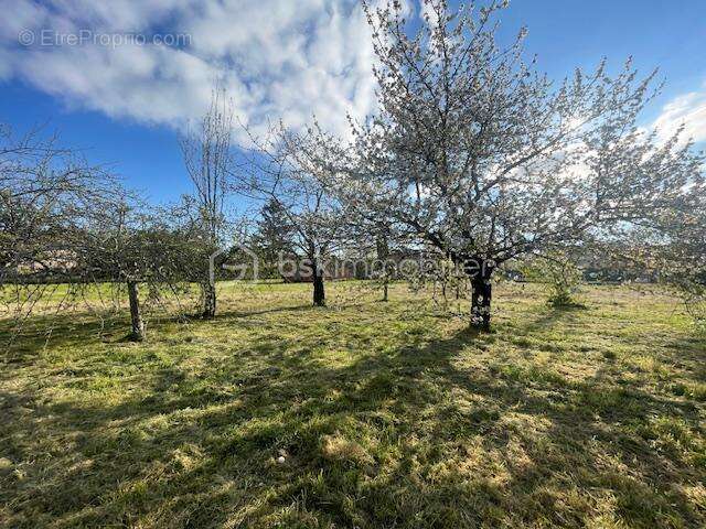 Terrain à RABASTENS