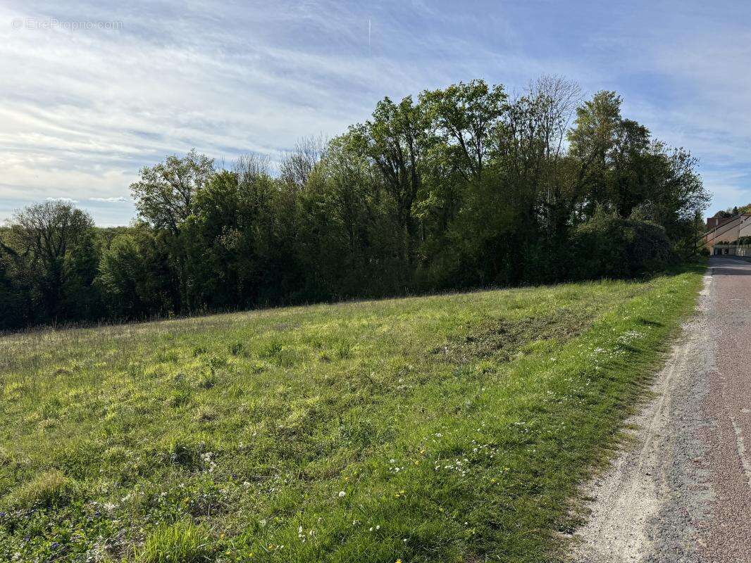 Terrain à MONTREUIL-AUX-LIONS