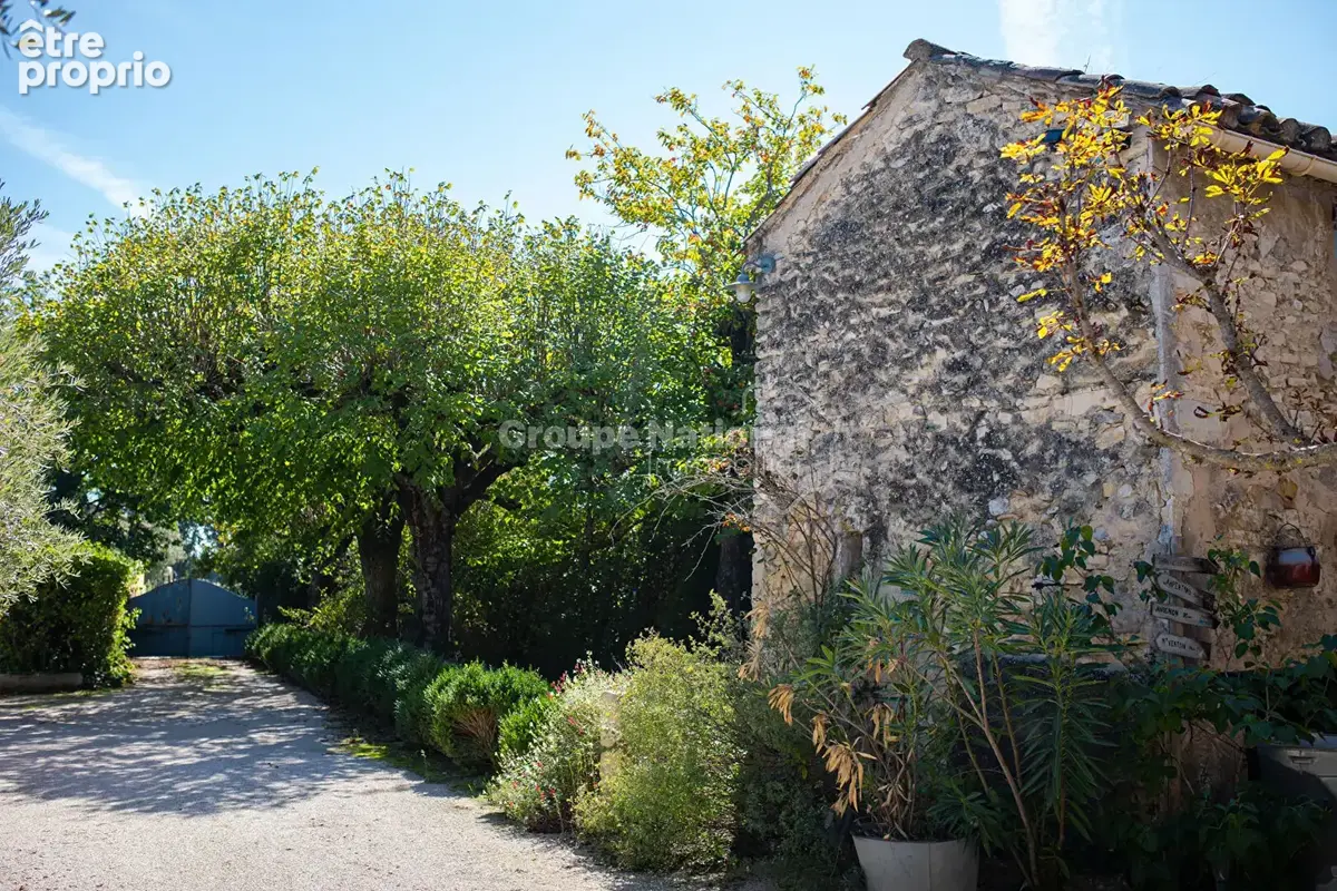 Exclusivité - Propriété provençale - 2 habitations indépendantes - photo 6