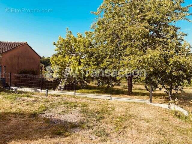 Maison 215 m² à Ladiville  - photo 5
