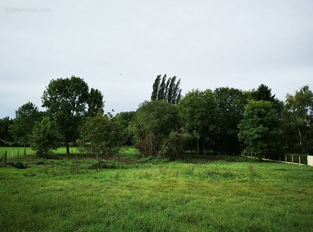 Terrain à BUEIL
