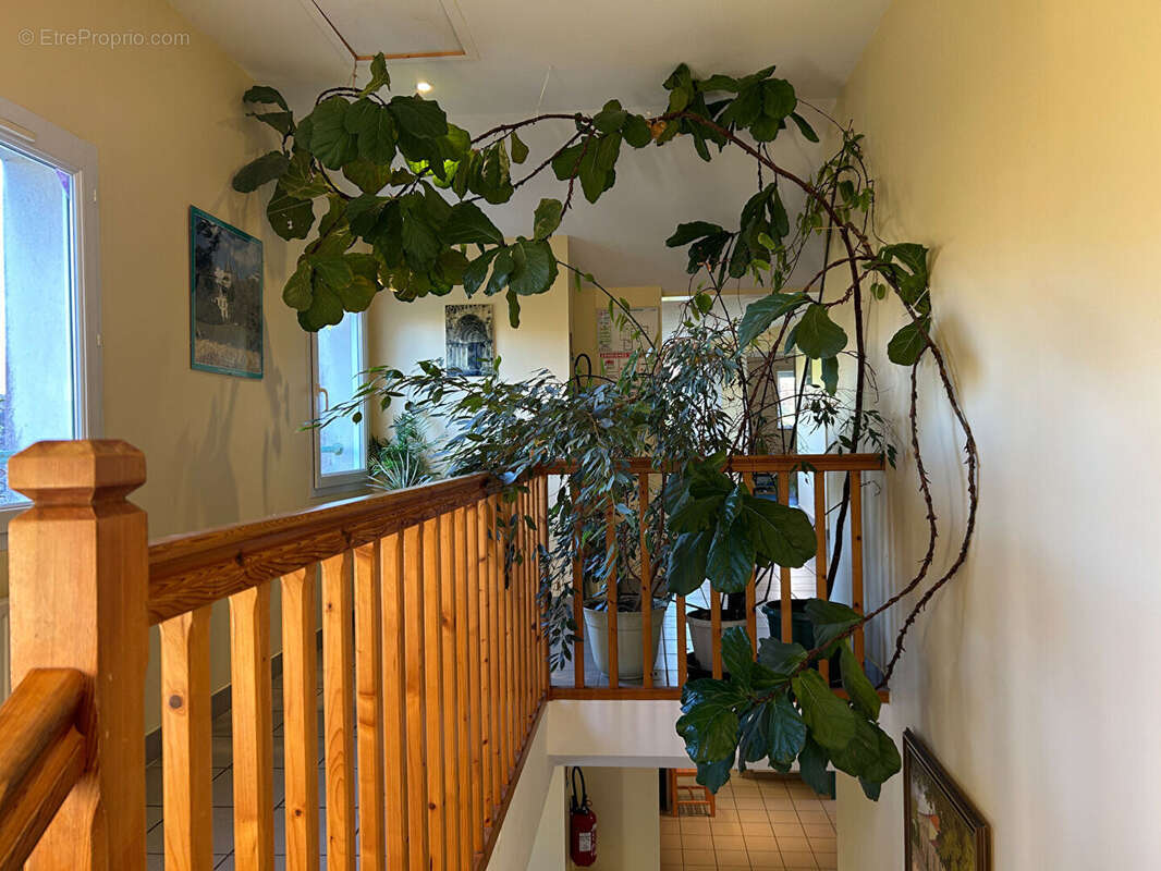 Maison à COUHE