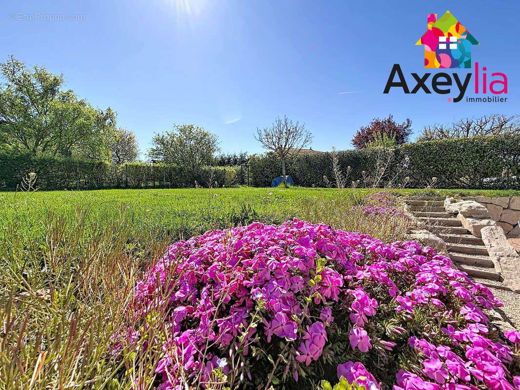 Maison à COMMELLE-VERNAY