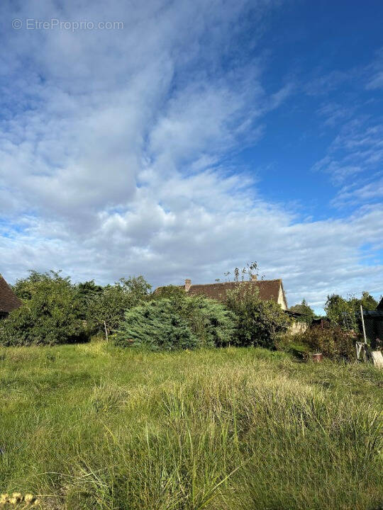 Terrain à LA COUTURE-BOUSSEY