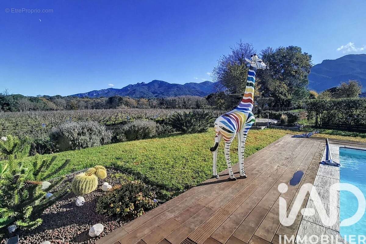 Photo 3 - Maison à LAROQUE-DES-ALBERES