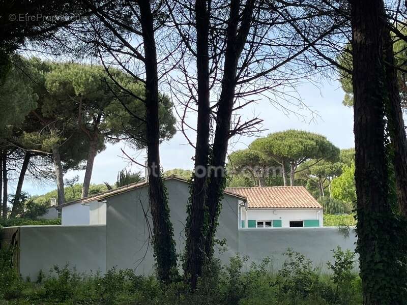 Maison à LE BOIS-PLAGE-EN-RE