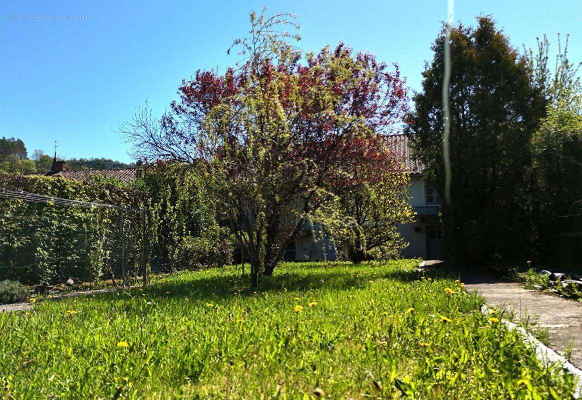 Au coeur de la vallée du Suran - Maison avec 3 chambres et terrain attenant - photo 9
