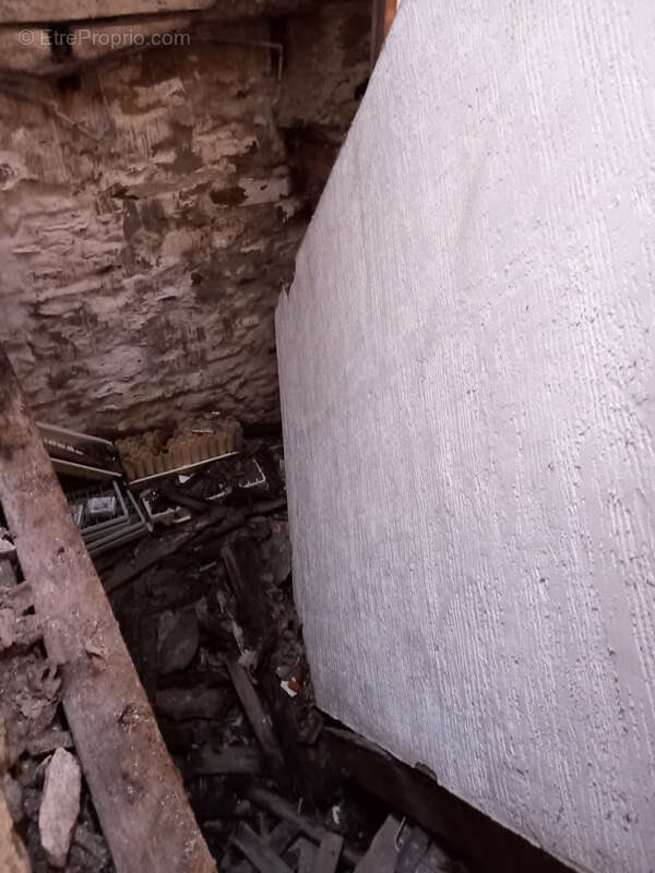 Unique ! ancienne Ferme à rénover sur 15Ha de patures et bois . - photo 24