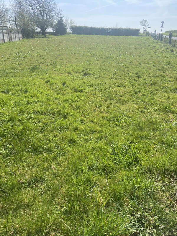 Villers-Châtel : terrain à construire à acheter - photo 3