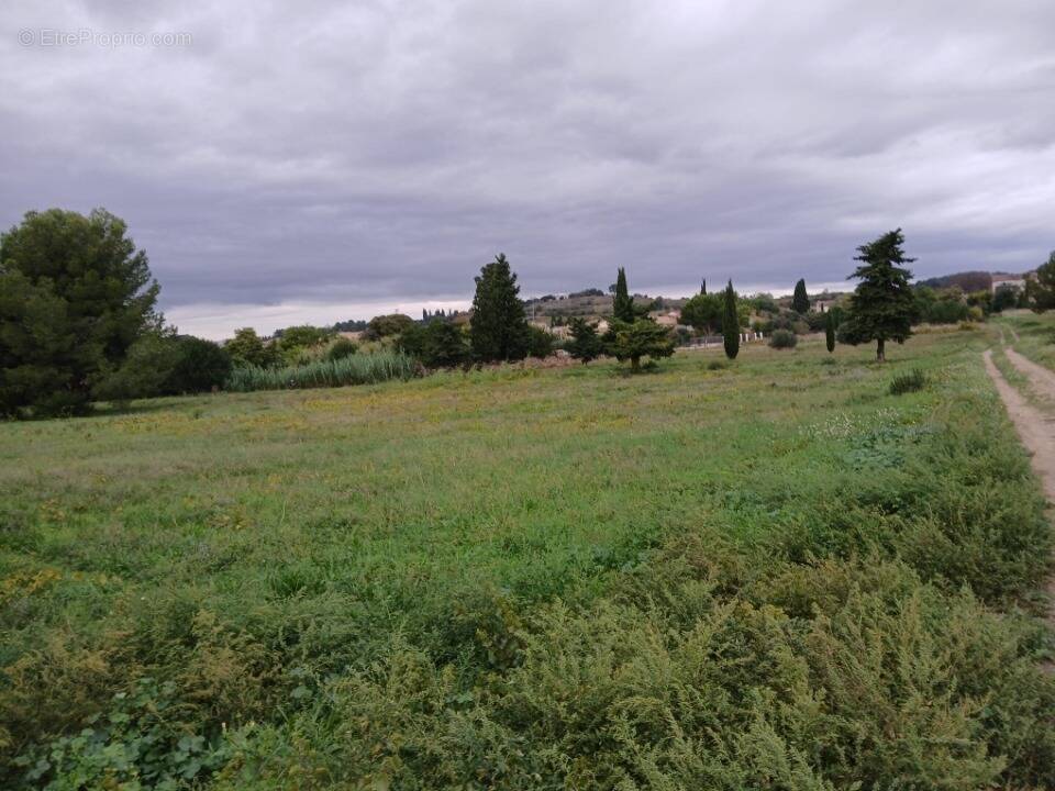 Terrain à SAINT-PARGOIRE