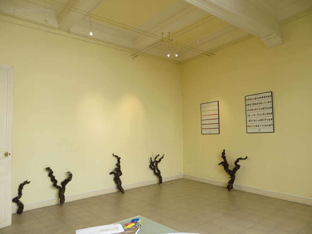 Maison à CARCASSONNE