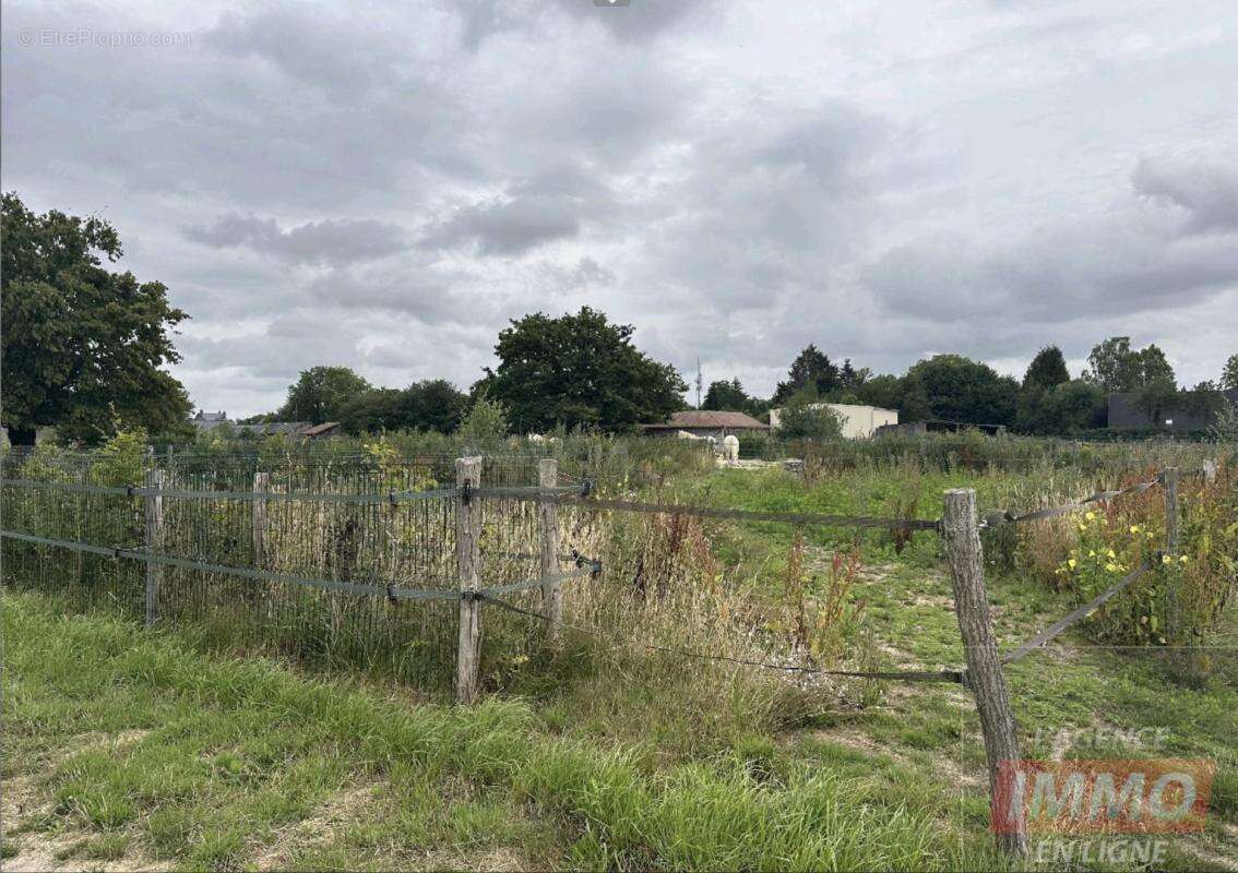 Haras / Equestre - photo 15
