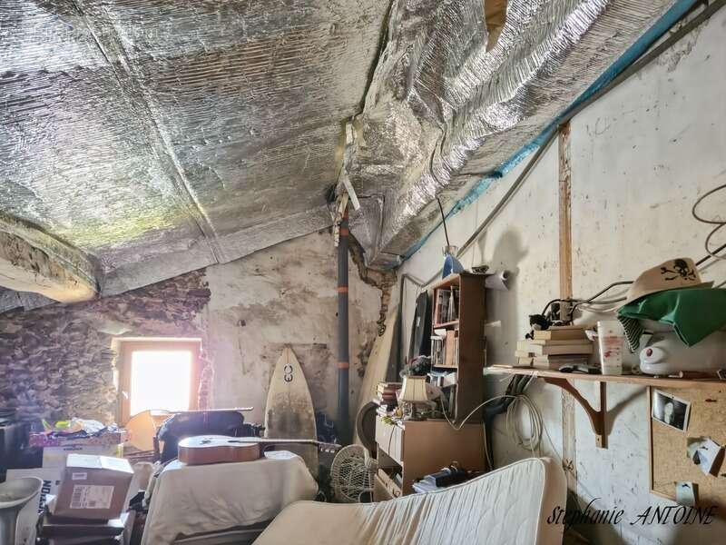 Propriété de caractère – 6,7 hectares – dépendances – ossages - photo 19