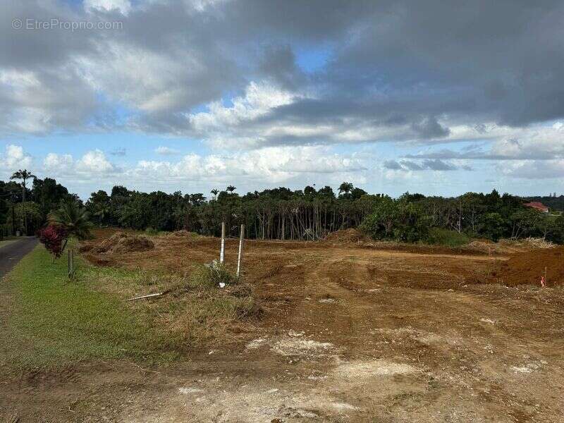 Terrain à PETIT-BOURG