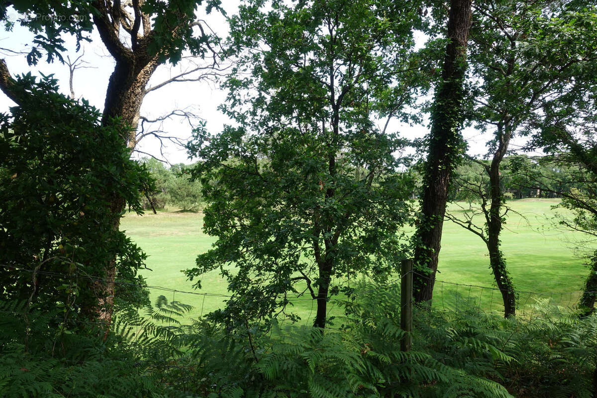 Maison à MOLIETS-ET-MAA