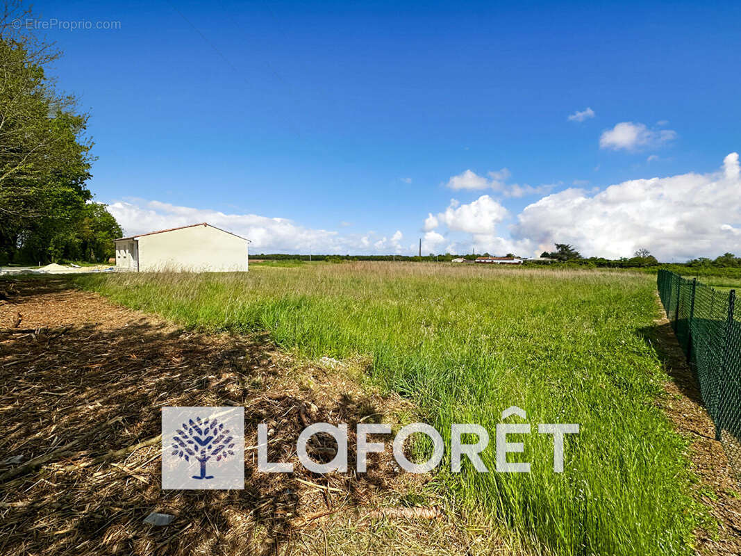 Terrain à SAINT-QUANTIN-DE-RANCANNE