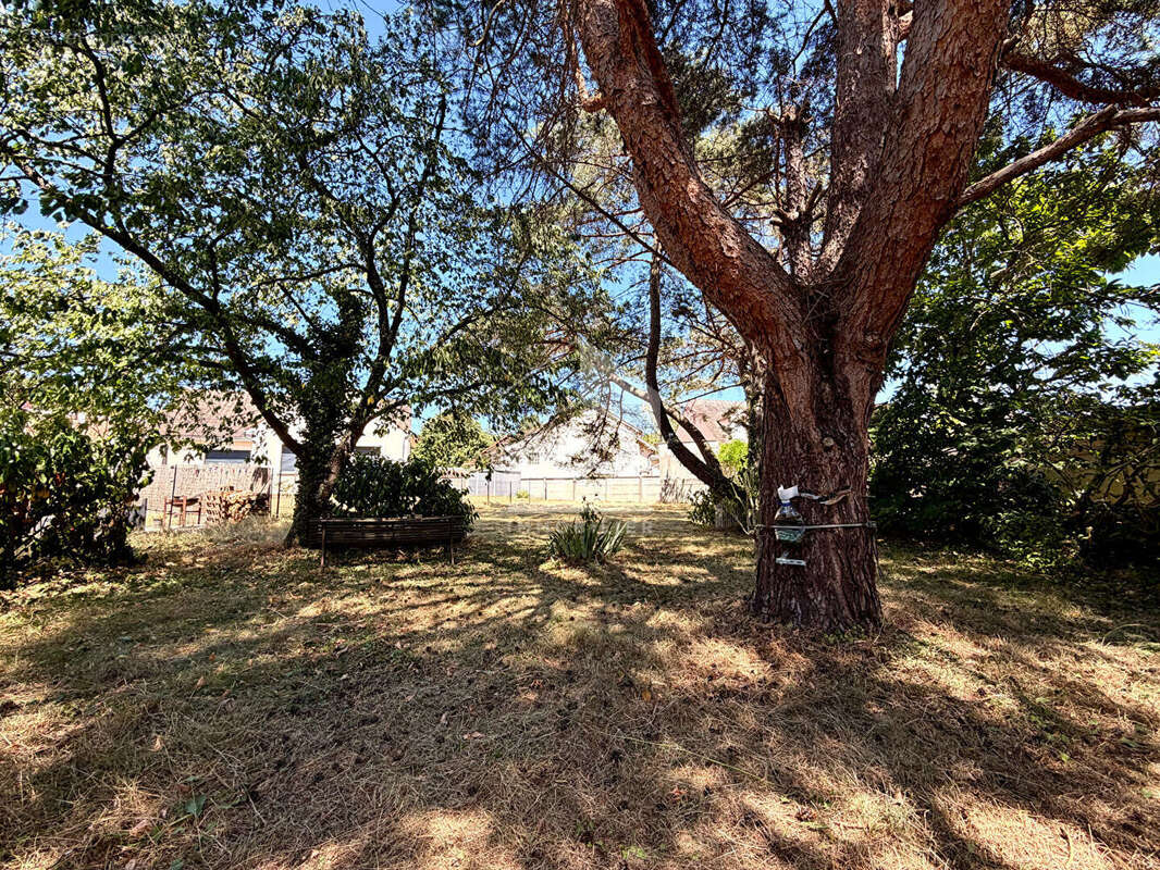 Terrain 504m² à bourron-marlotte - photo 7